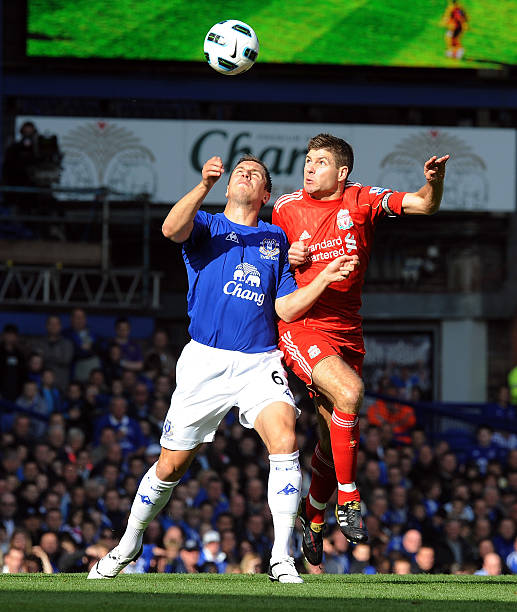 有著明顯的 有著明顯的